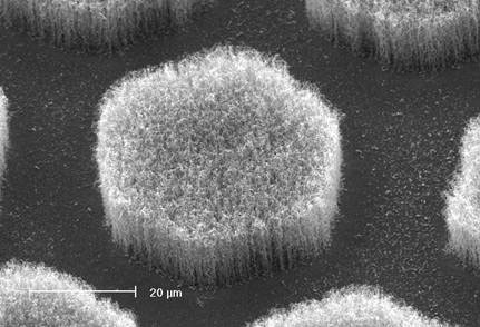 Szén nanocsövek csoportja az elektronmikroszkóp alatt