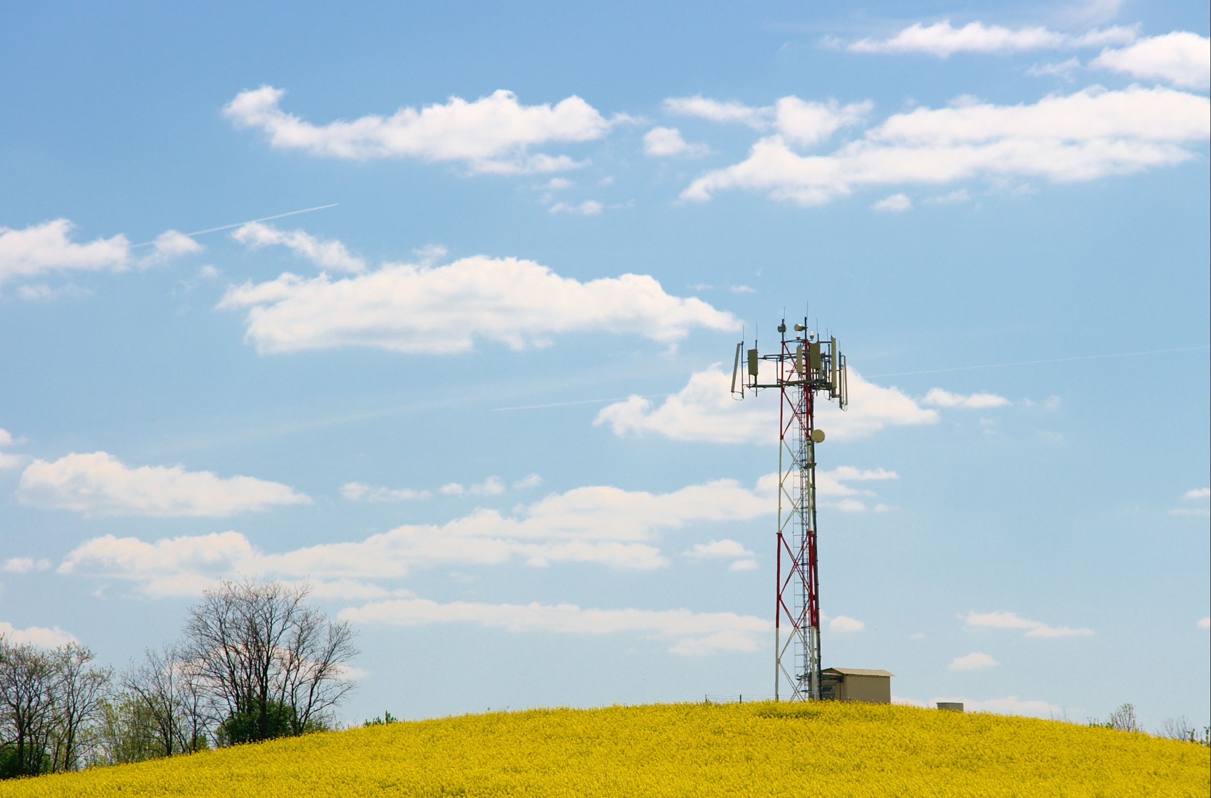 cell_rural