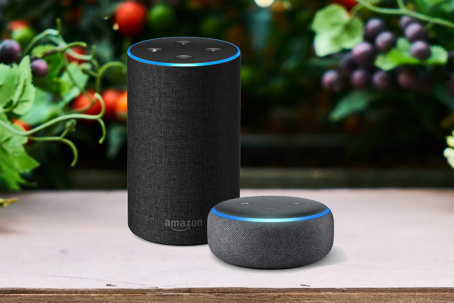 amazonecho