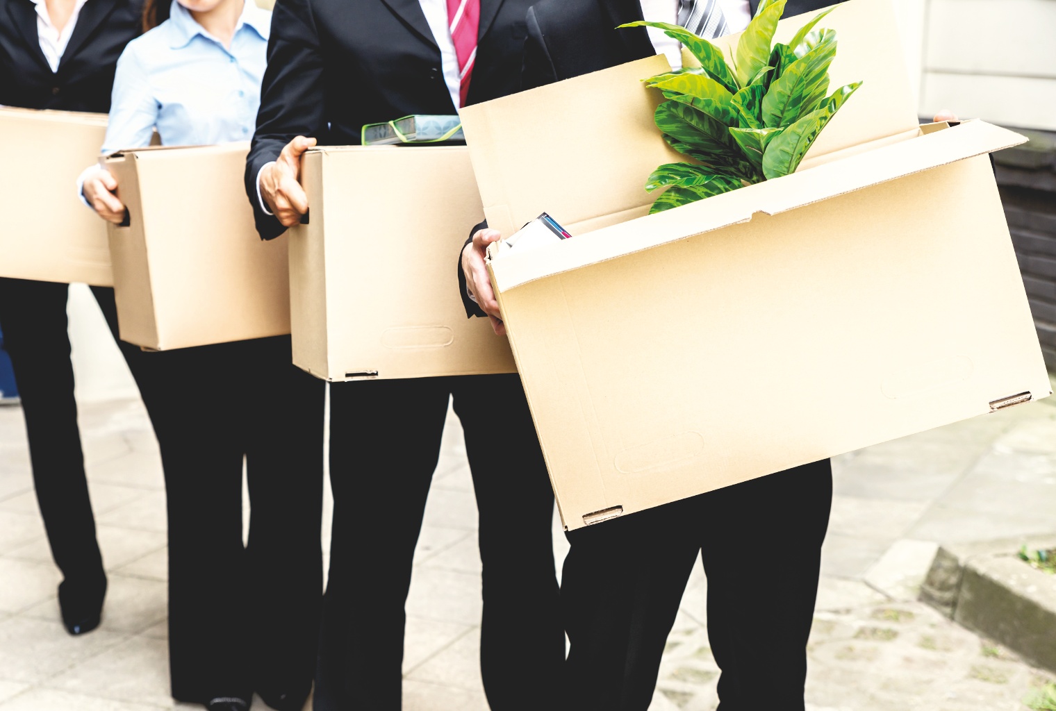 layoff_boxes