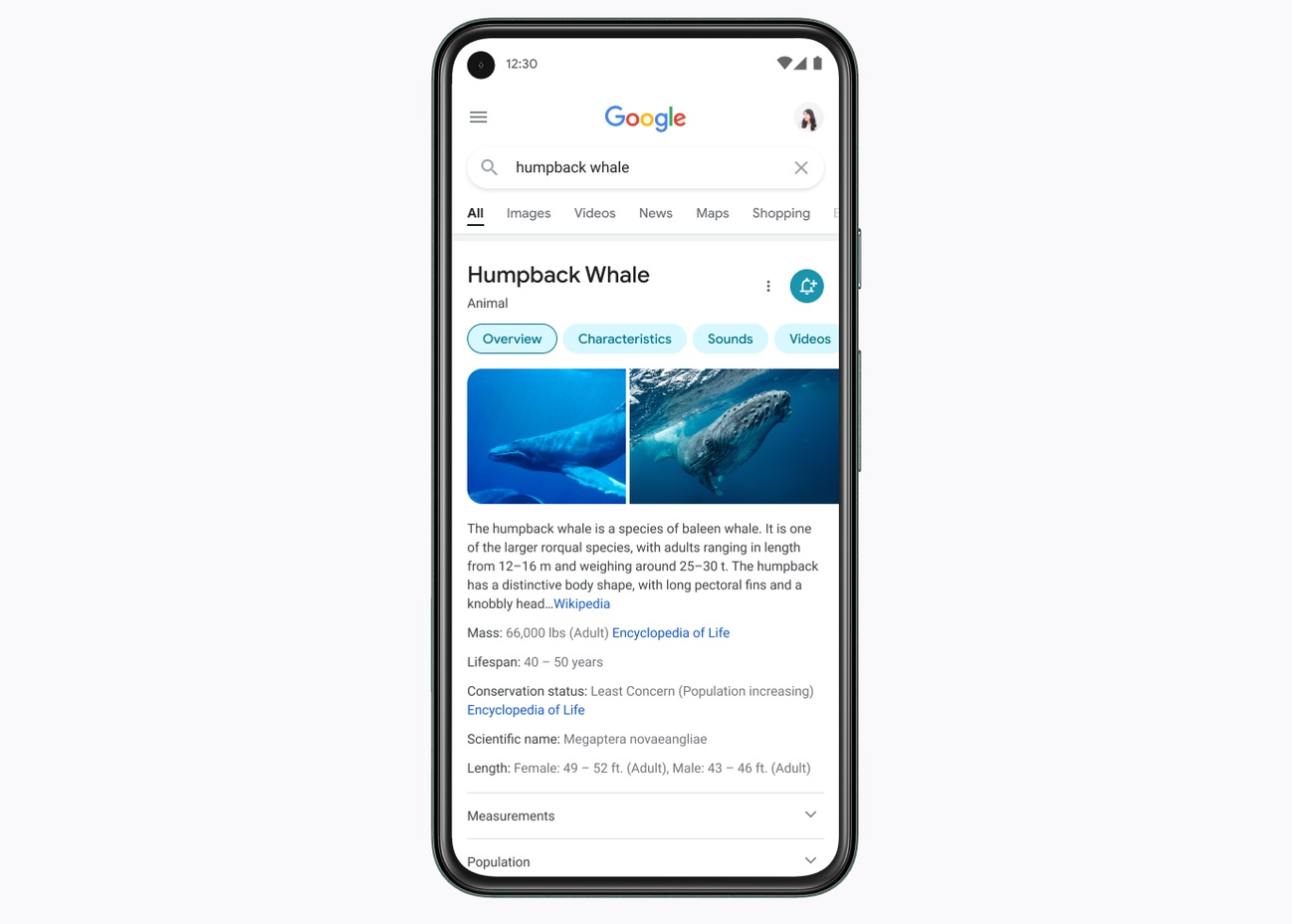 newgoogsearch