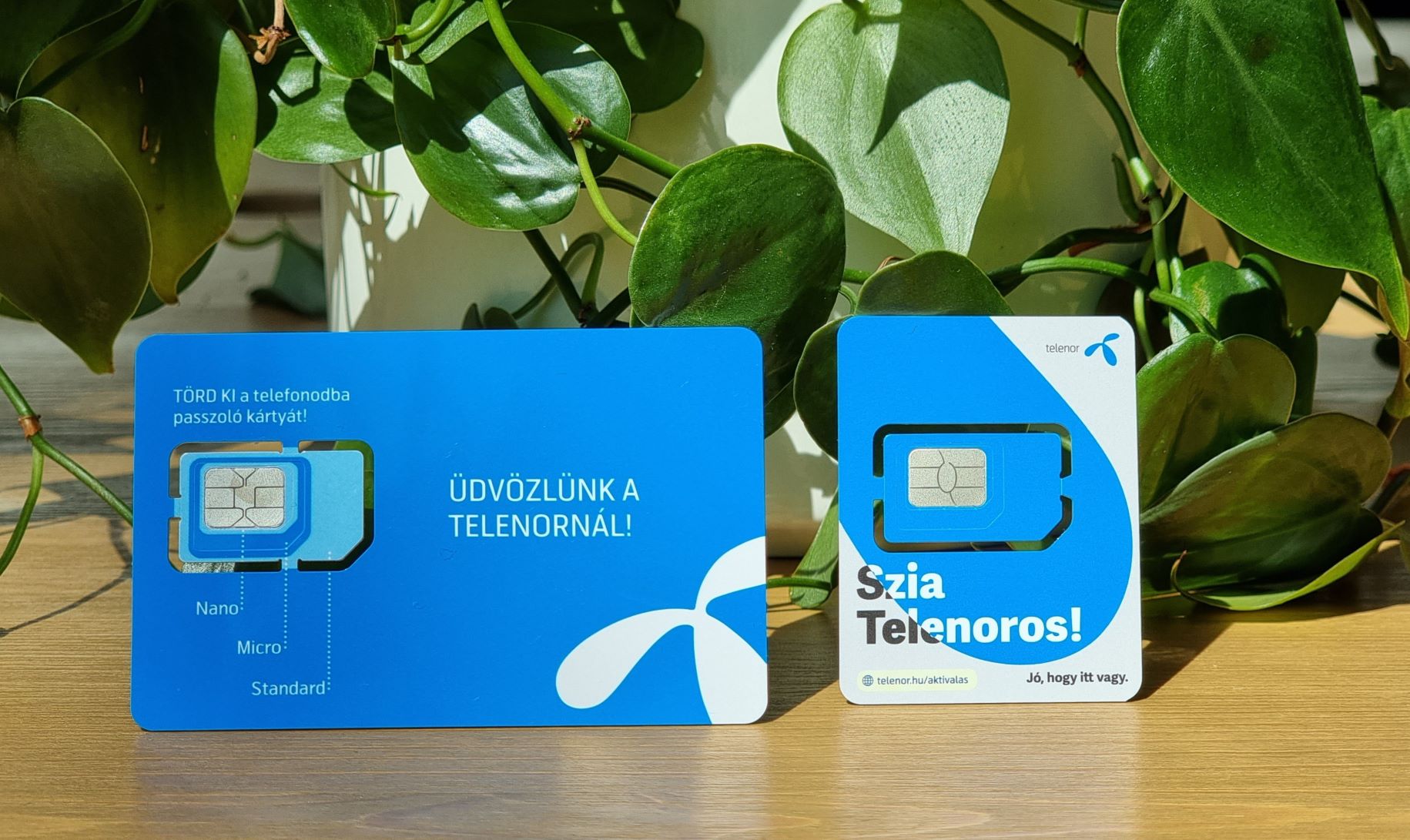 telenor_sim