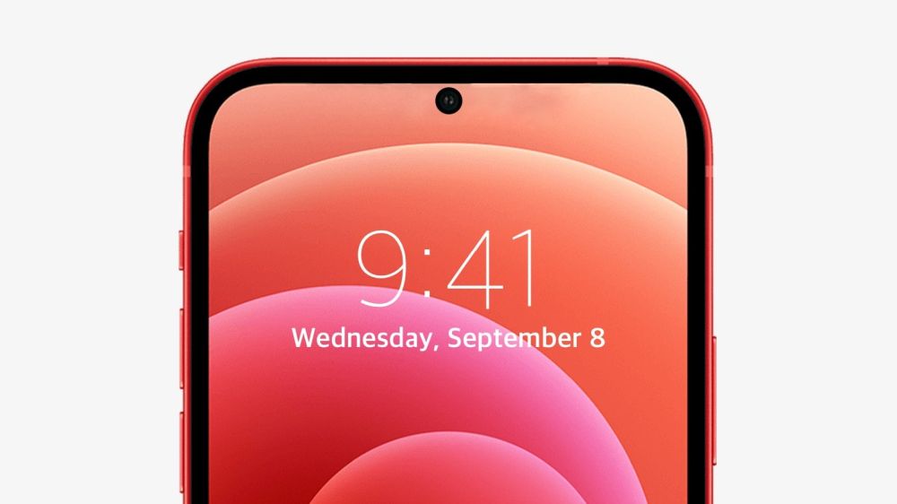 iphone_punch_hole