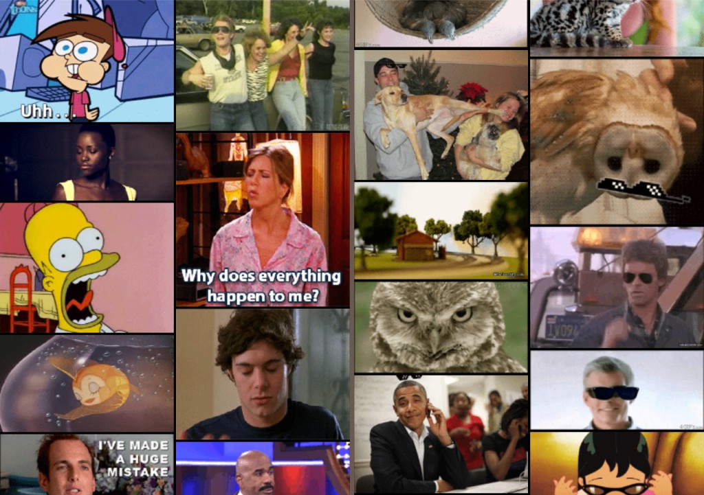 giphy_search