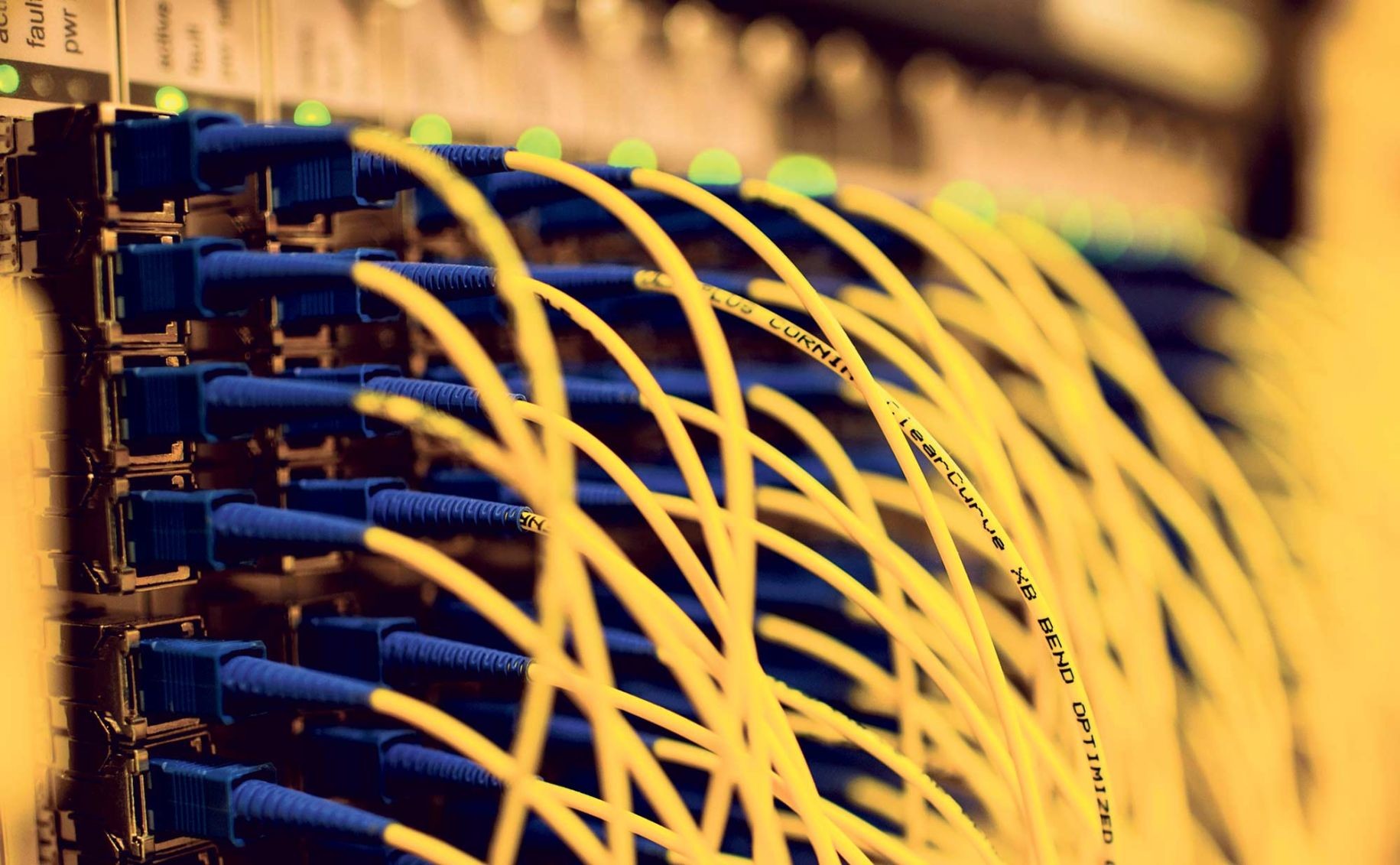 fiber