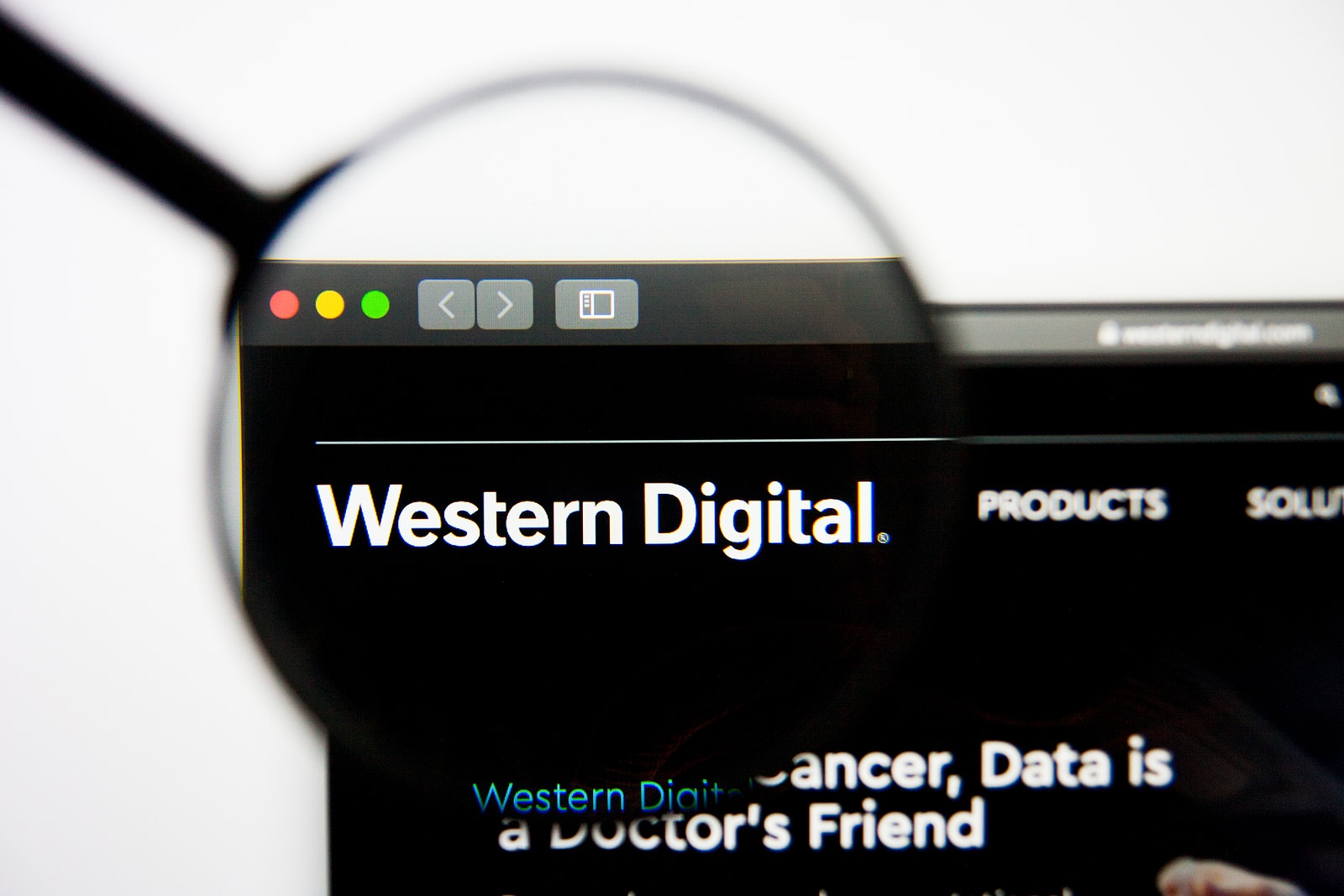 wd_closeup