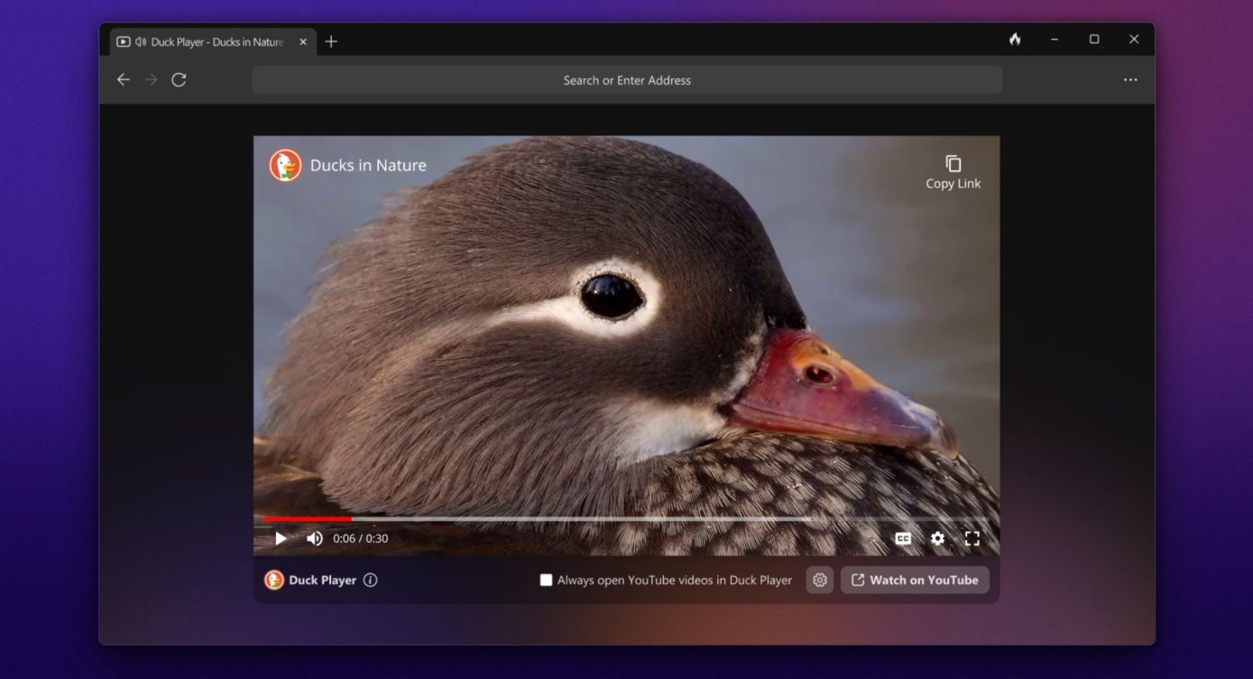 duckduckgo-windows