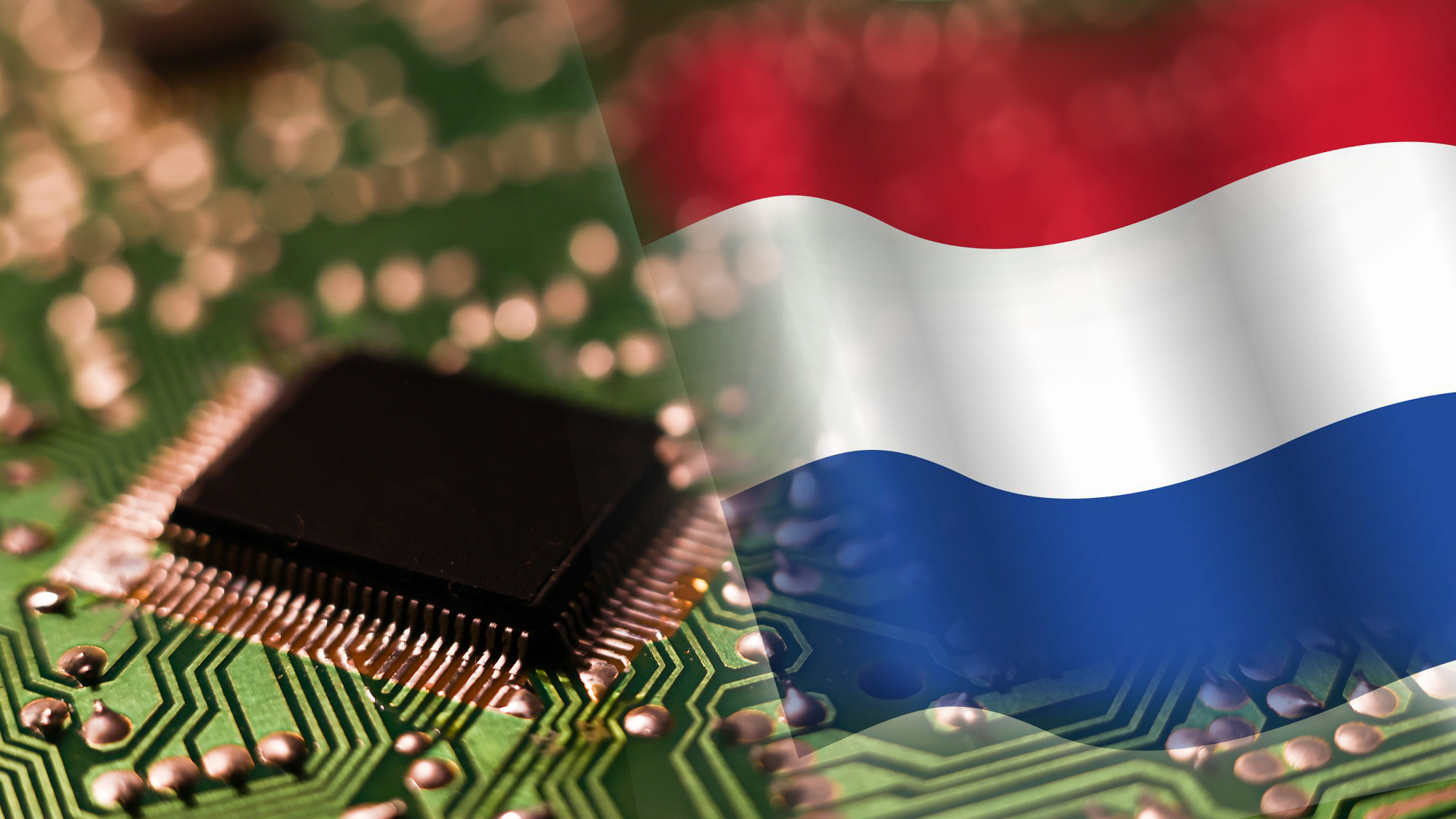 hollandia_chip