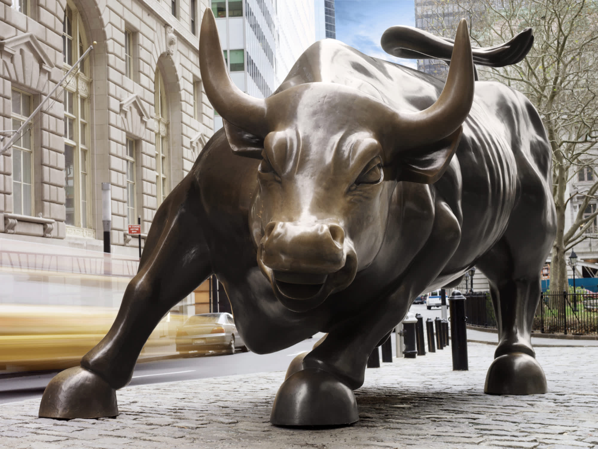 wallstreet_bull