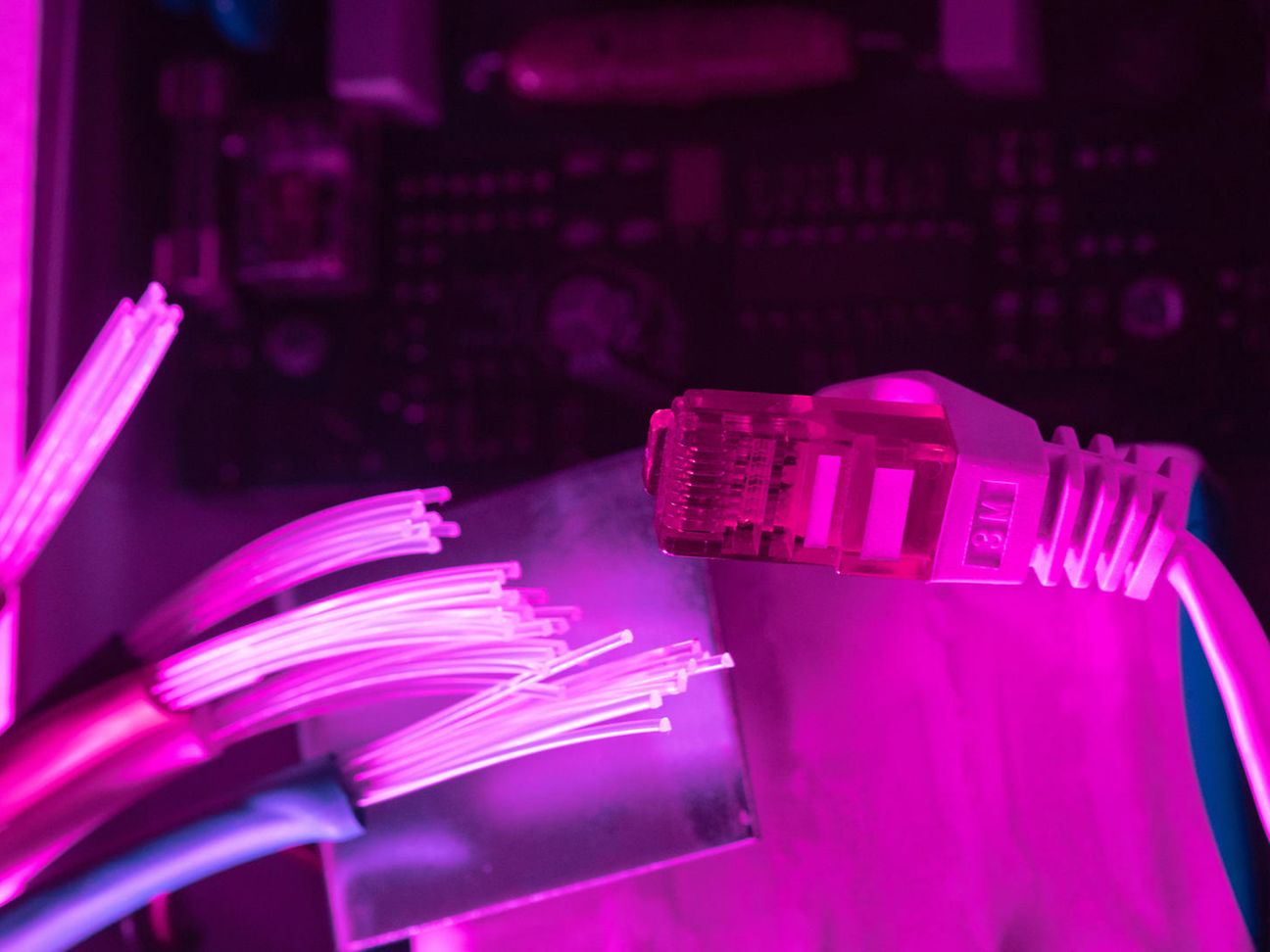 magenta_optic