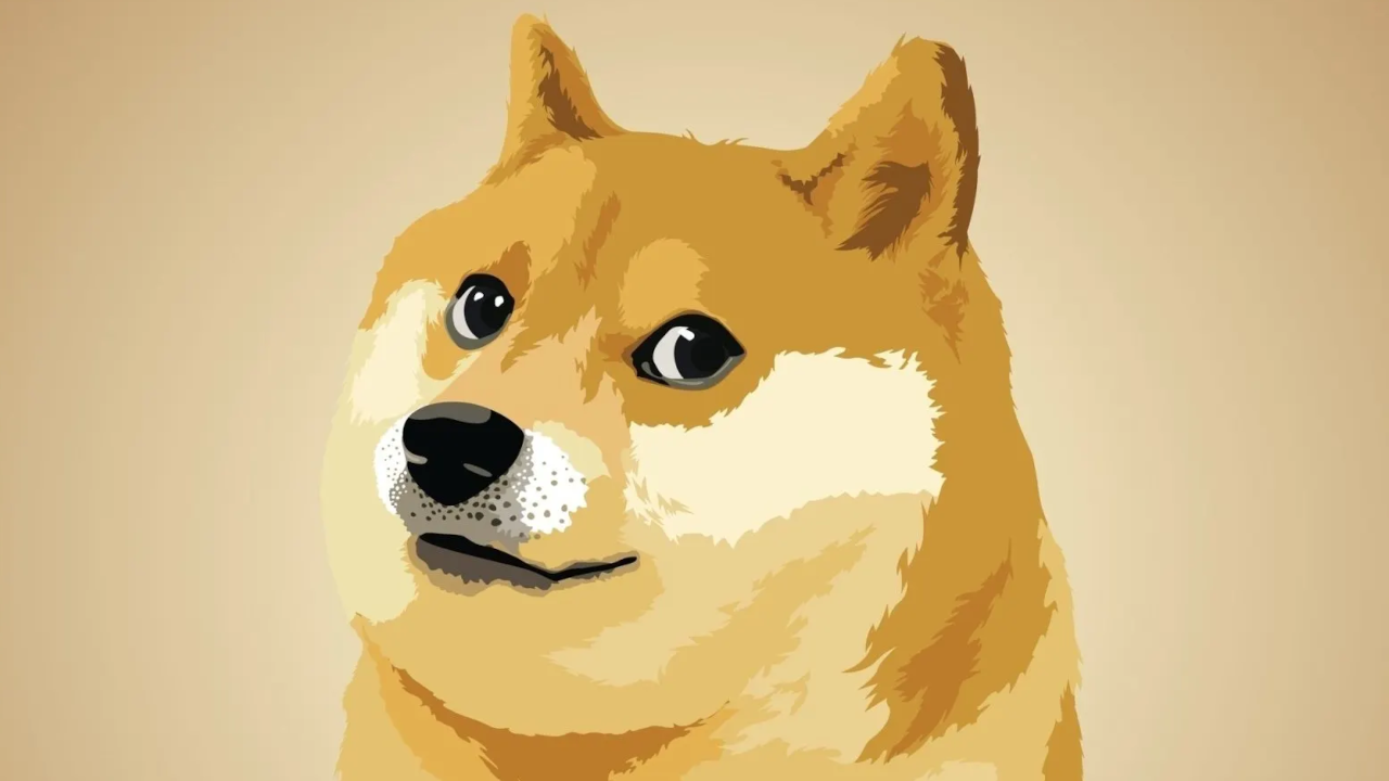 Európában nincs DOGE, de igény, az lenne rá