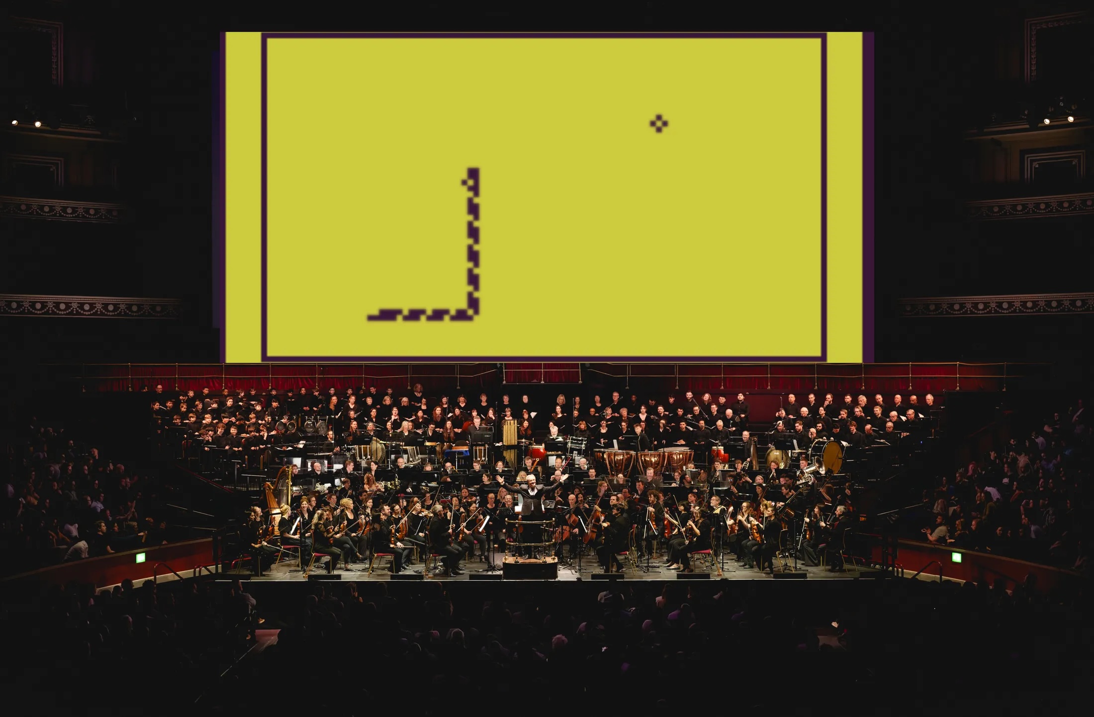snake_royal_albert_hall