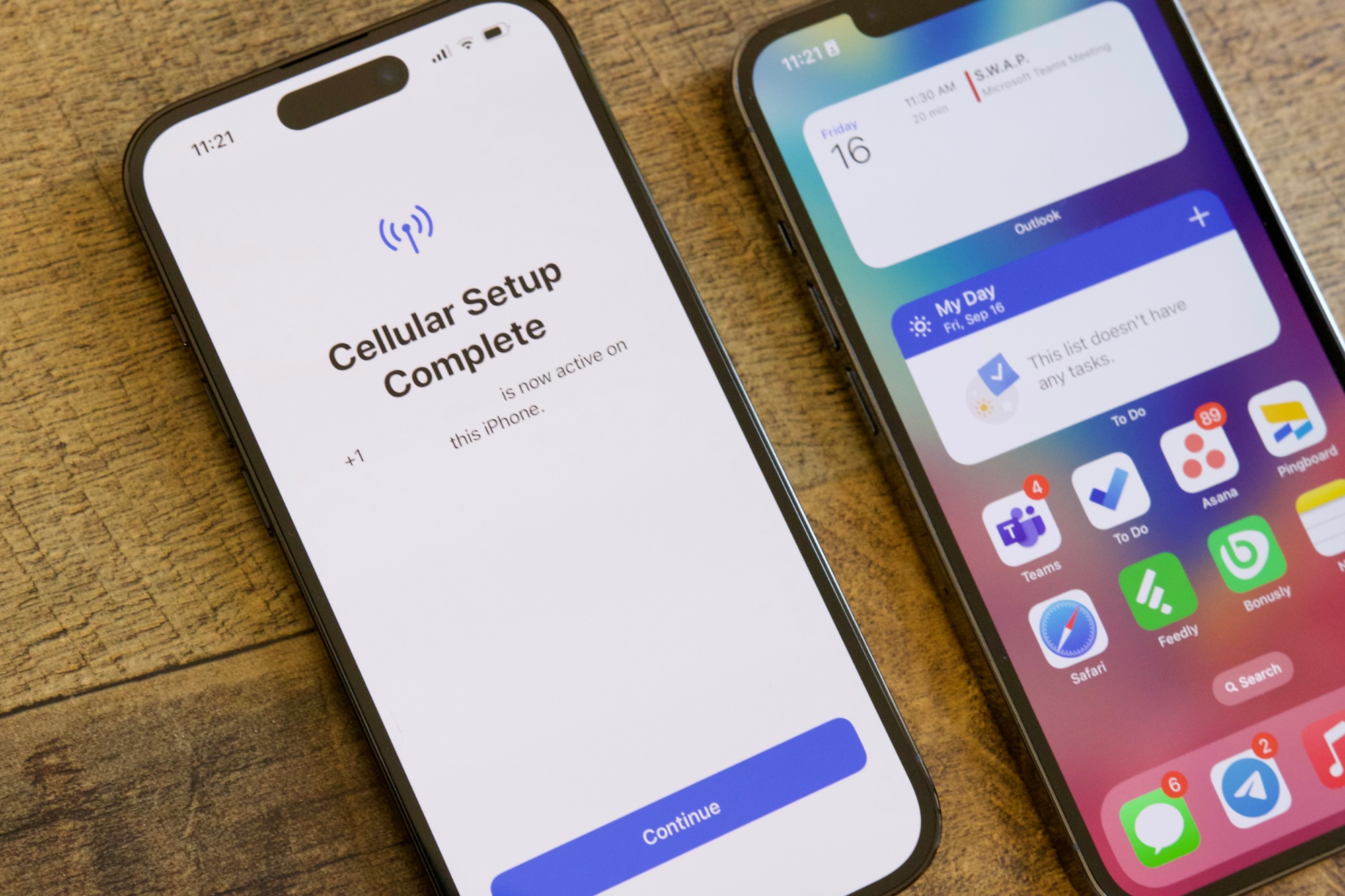 cellular_setup