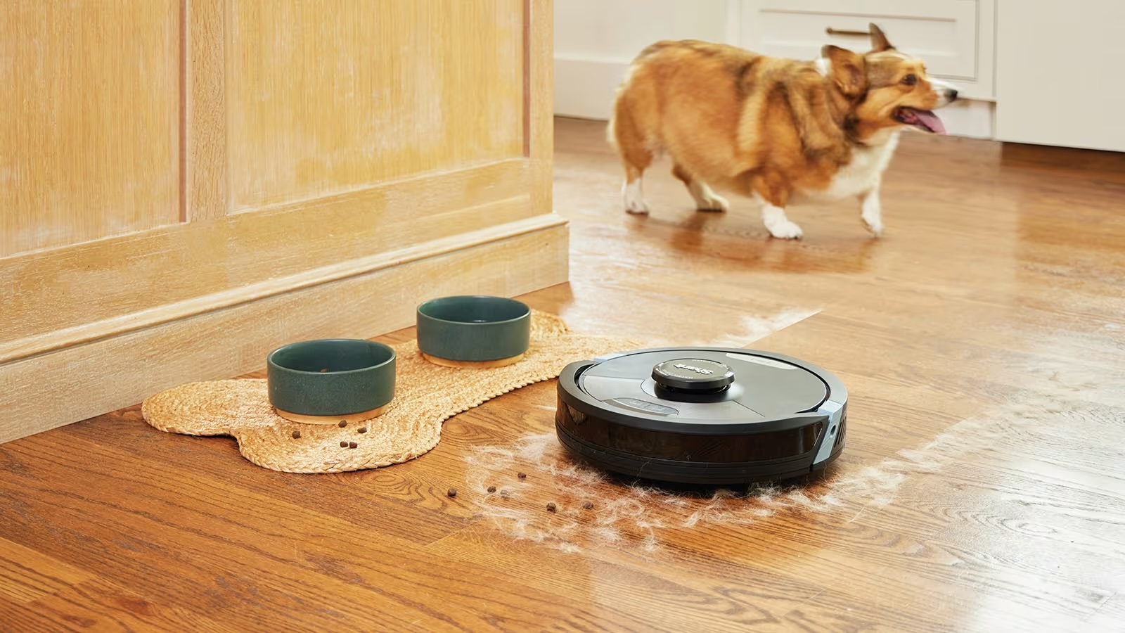 roomba